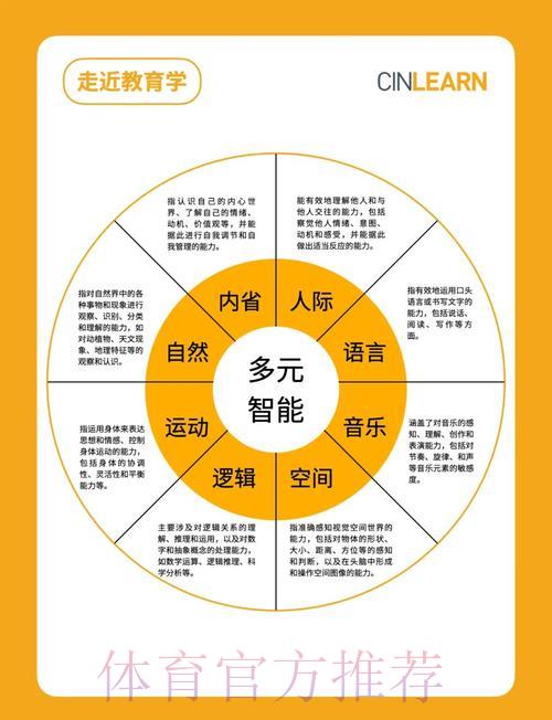 深度剖析世界杯平台的核心服务与多元功能 深度剖析世界杯平台的核心服务与多元功能